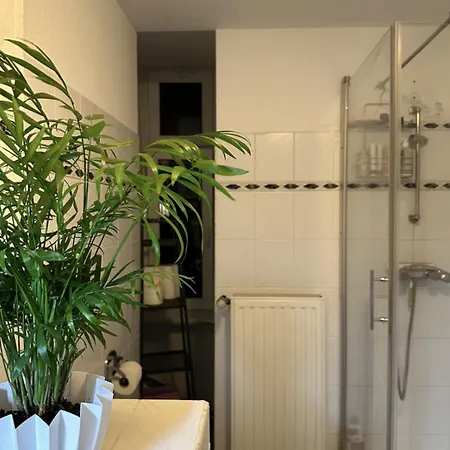 Homestay Urban Oasis In *